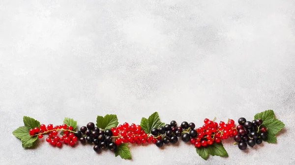 Fresh Berries Black Red Currants Gray Table Copy Space — Stock Photo, Image