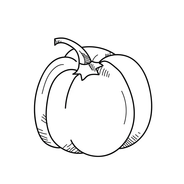 FreeHand tekening illustratie plantaardige paprika. — Stockfoto