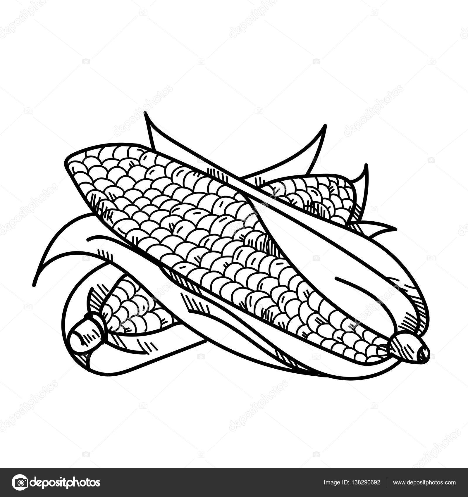 Freehand drawing illustration vegetable corn. — Stock Photo