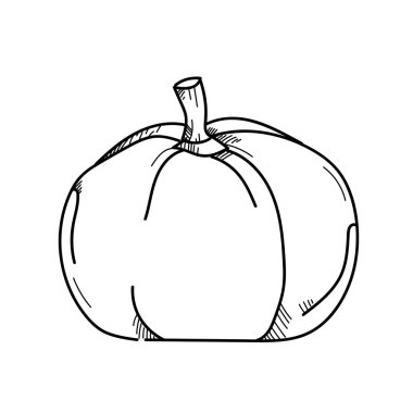 Serbest çizim illüstrasyon sebze Kabocha.