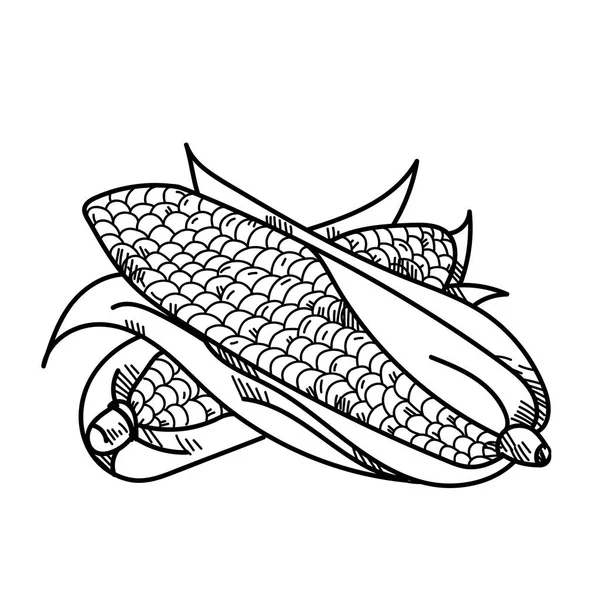 Od ruky nakreslené ilustrace zeleniny kukuřice. — Stock fotografie