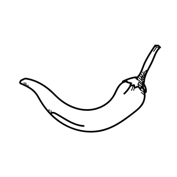 Freehand drawing illustration chilli. — Stock Photo, Image