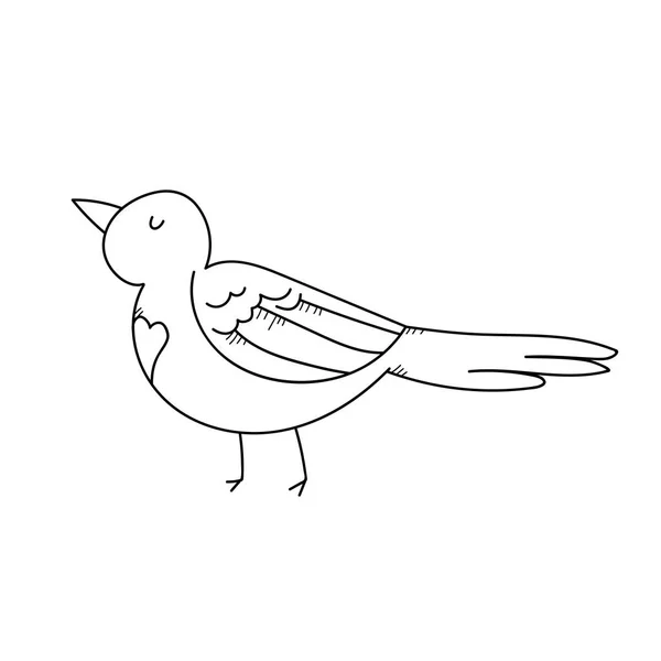 写意画鸟的插图 — 图库照片