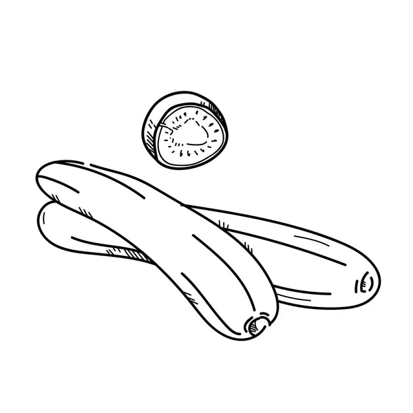 FreeHand ritning illustration Zucchini. — Stockfoto