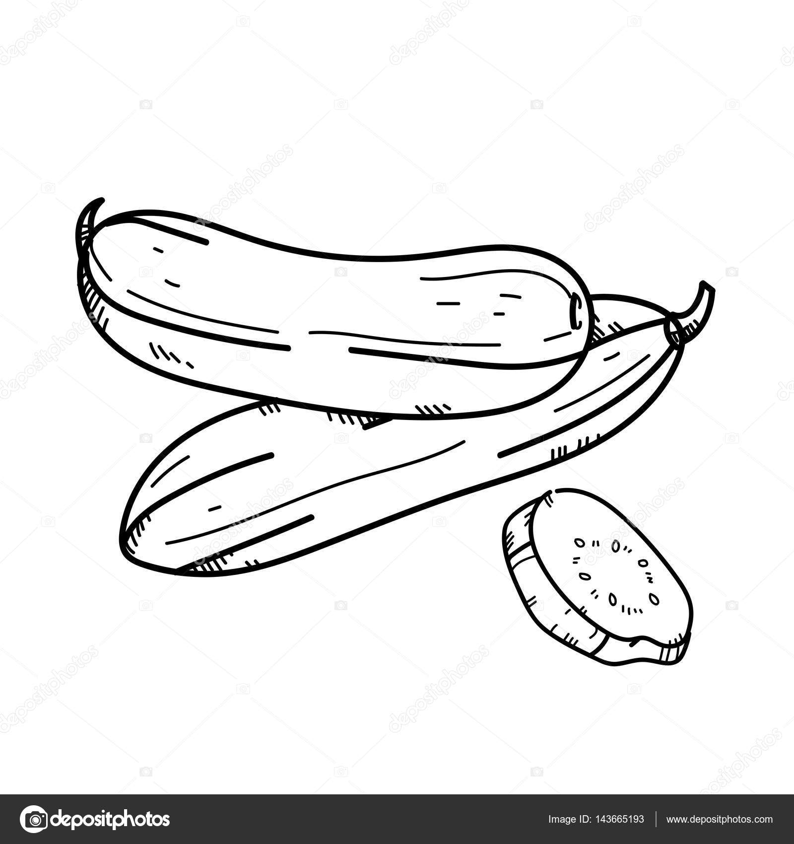 Freehand drawing illustration Cucumber. — Stock Photo ... for Drawing Cucumber
173lyp Freehand drawing illustration Cucumber. — Stock Photo ... for Drawing Cucumber
173lyp