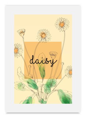 Daisy vektör çizim elle çizilmiş sulu boya boyalı