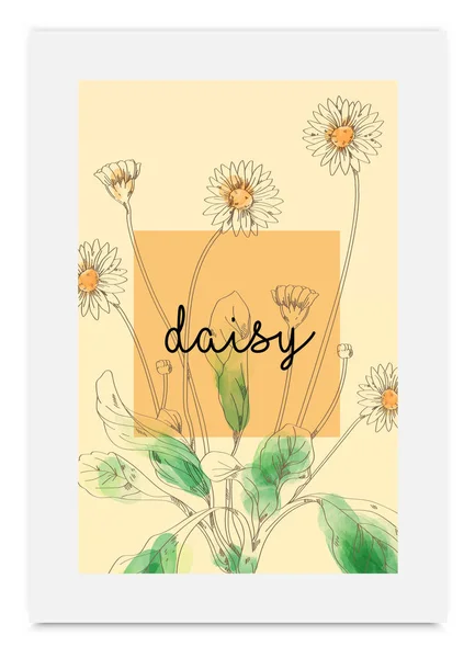 Daisy Vector illustration aquarelle peinte à la main — Image vectorielle