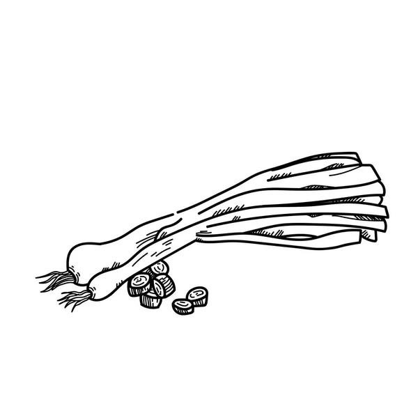 ネギの図をフリーハンド描画. — ストック写真