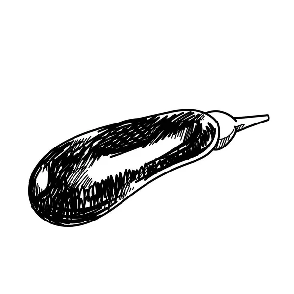 Rysunek odręczny rysunek ilustracja bakłażan. — Zdjęcie stockowe