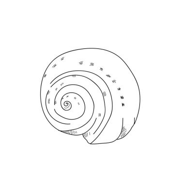 Şekil çizim salyangoz kapak drawing.black ve beyaz çizgi