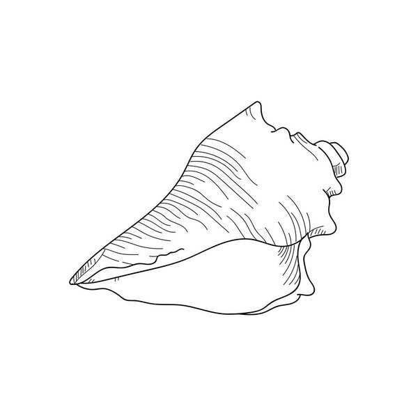 Флорида, борьба иллюстрации раковины моллюсков sketch.hand обращается 