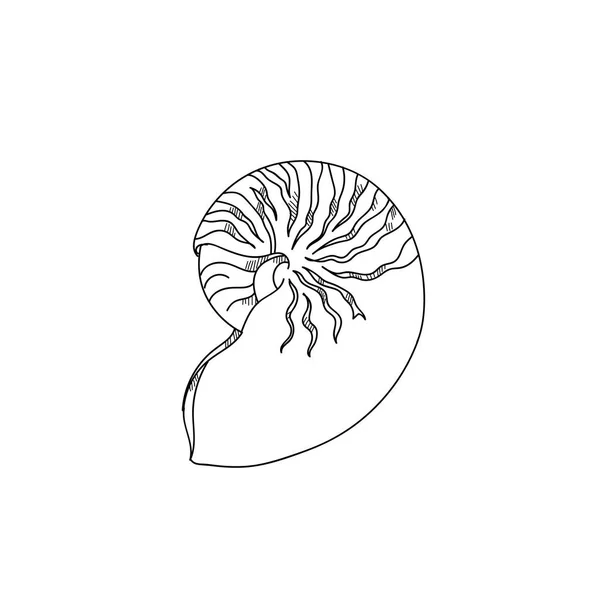 貝が刻まれたラインのイラストが描かれたスケッチを手します。 — ストック写真