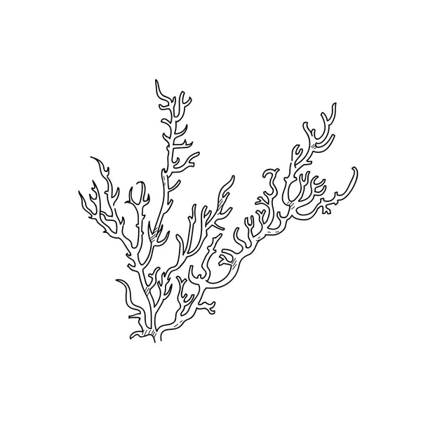深海珊瑚手的素描画的插画设计 — 图库照片