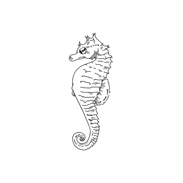 Desenho a mão de cavalo marinho ilustrações de linha gravada — Fotografia de Stock