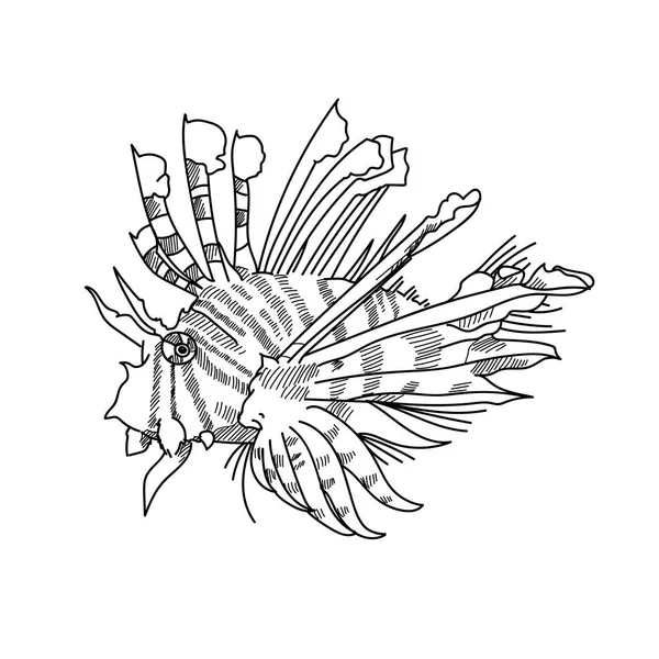 Aslan elle çizilmiş kroki çizimleri oyulmuş çizgi balık — Stok fotoğraf
