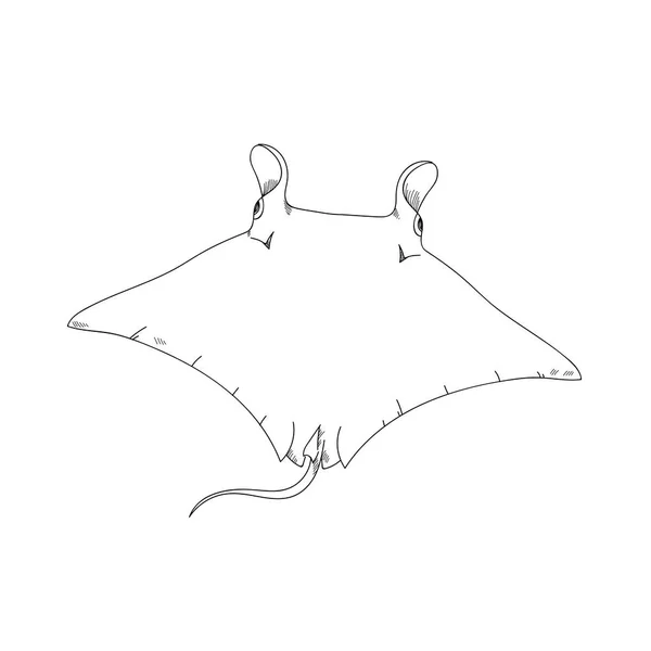 白色背景上的黄貂鱼手绘素描插图 — 图库照片
