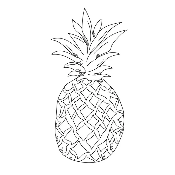 Ananas illustratie op een witte achtergrond. Zwart-wit col — Stockfoto