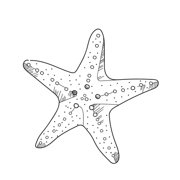 在白色背景上的海星插图。黑色和白色科洛 — 图库照片