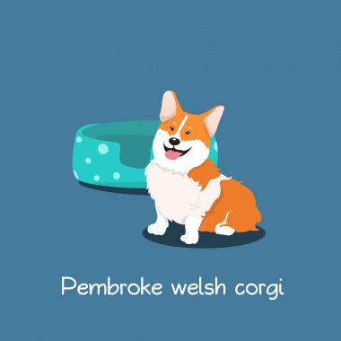 Pembroke welsh corgi köpek bowl.vector ile evde beslenen hayvan karikatür