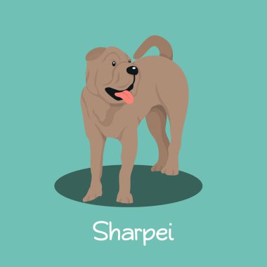 Sevimli bir Sharpei köpek cartoon.vector tasvir eden bir örnek