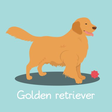 Golden retriever köpek cartoon.vector tasvir eden bir örnek