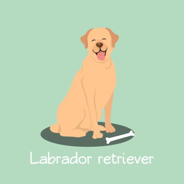 Labrador retriever köpek cartoon.vector tasvir eden bir örnek