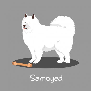 Samoyed köpek cartoon.vector tasvir eden bir örnek