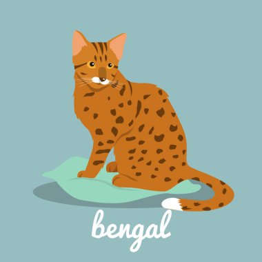 Bengal şirin kedi illüstrasyon gök mavisi background.vector üzerinde