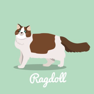 Bir şey mi arıyorsunuz Ragdoll kedi illustration.vector
