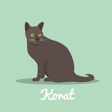 Korat şirin kedi yeşil gözleri çizim design.vector ile
