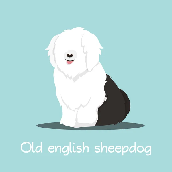 Mignon vieux chien de berger anglais illustration graphique design.vector — Image vectorielle