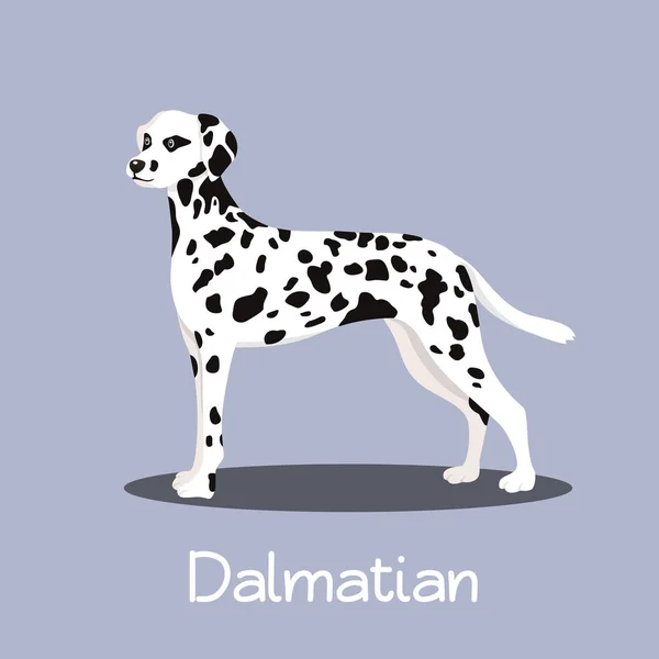 En illustration föreställande en söt dalmatiska hund tecknad — Stock vektor
