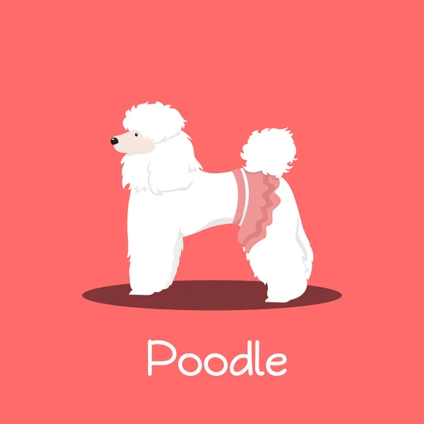 Un lindo perro Poodle dibujos animados en rosa background.vector — Archivo Imágenes Vectoriales