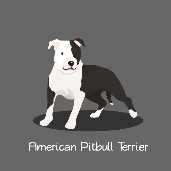 Amerikanischer Pitbull Terrier pet cartoon illustration grafik design — Stockvektor