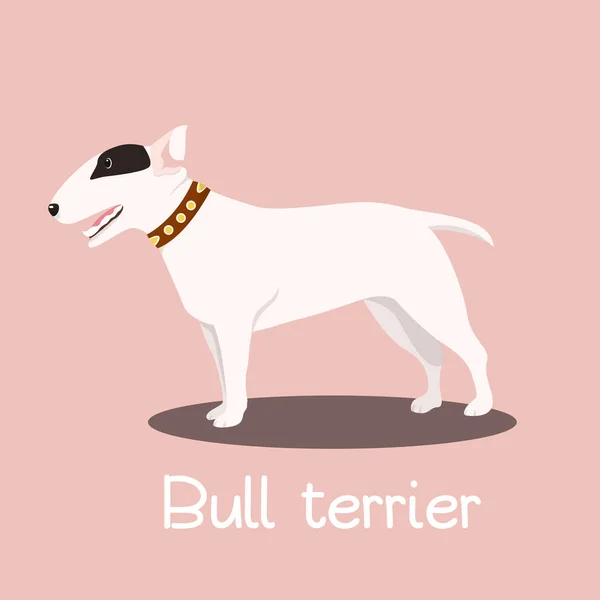 Bullterrier Hund Zeichentrickgrafik design.Vektor — Stockvektor