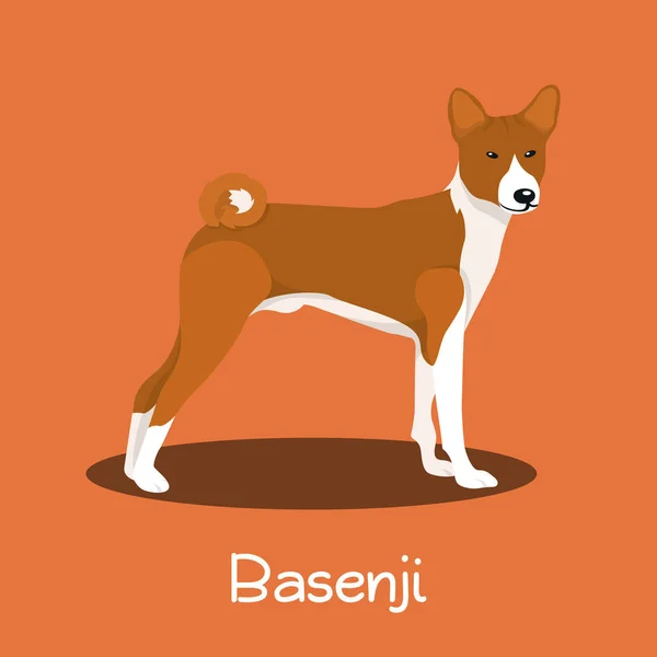 En illustration föreställande en söt Basenji hund cartoon.vector — Stock vektor
