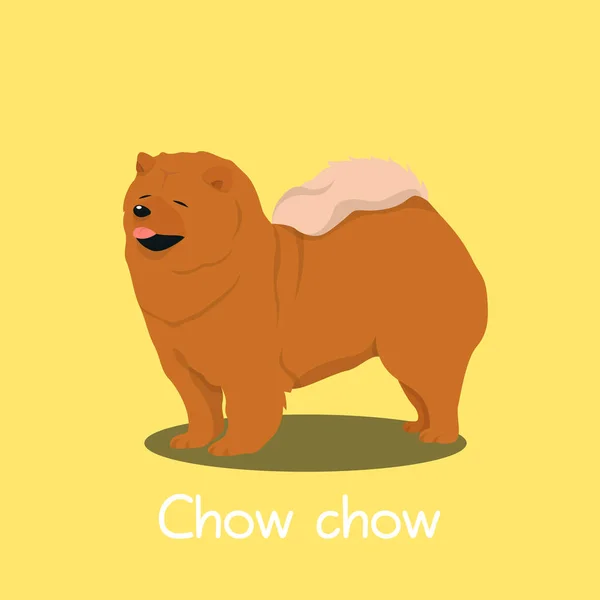 Un'illustrazione raffigurante un simpatico Chow chow dog cartoon.vector — Vettoriale Stock