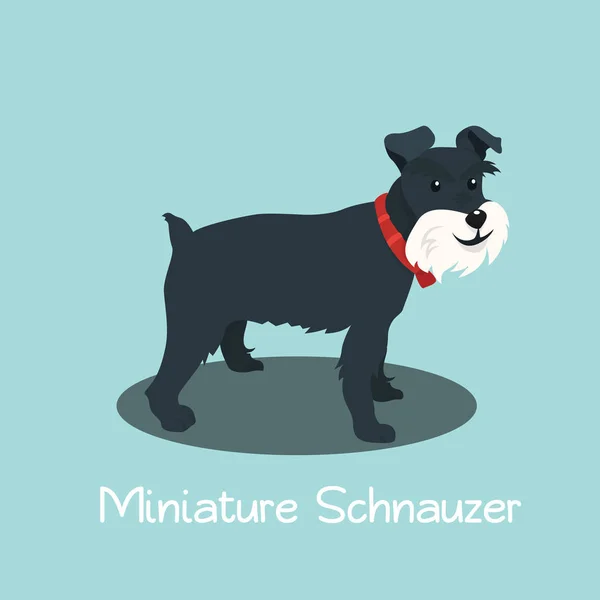 Μια εικόνα που απεικονίζει μινιατούρα Schnauzer σκύλο cartoon.vector — Διανυσματικό Αρχείο
