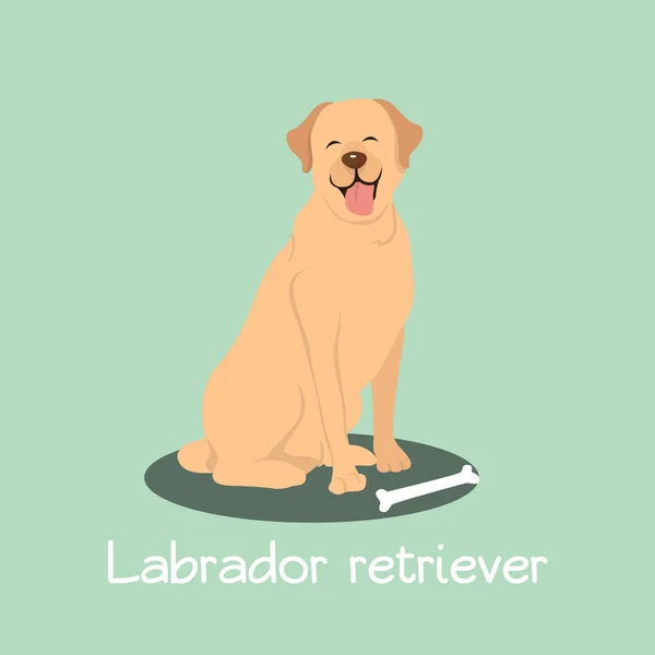 An illustration depicting Labrador retriever dog cartoon.vector — Stock Vector