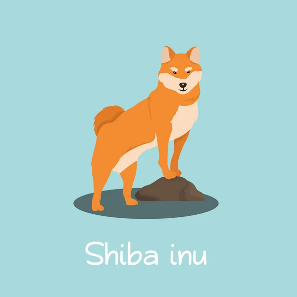 Иллюстрация с изображением карикатуры на собаку шиба-ину. — стоковый вектор
