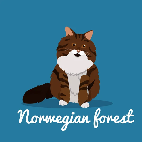 Norweskie leśne Słodkie Kot Zwierzęta illustration.vector — Wektor stockowy