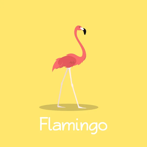 Flamingo bird illustration design on yellow background.vector — Stock Vector