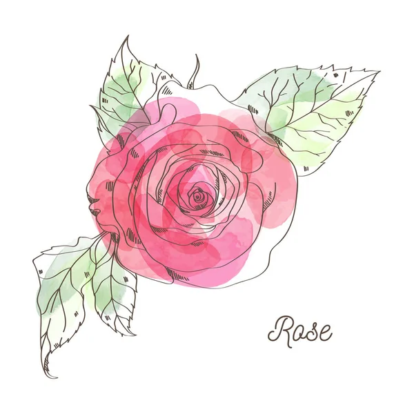 Rose ilustración para el diseño gráfico de San Valentín — Archivo Imágenes Vectoriales
