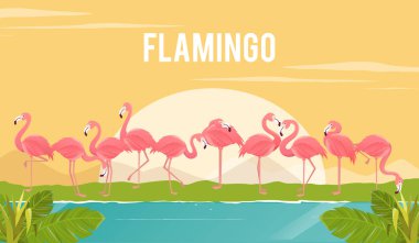 Flamingolar arka plan üzerinde kümesi. illüstrasyon.