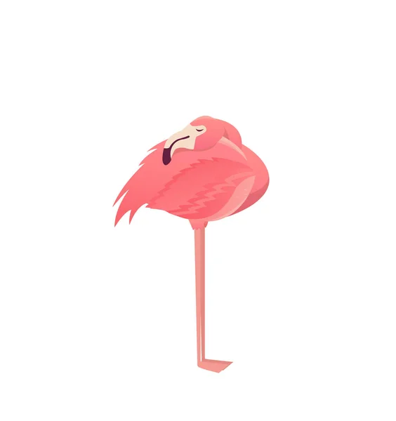 Flamingo pták ilustrace design na bílém pozadí — Stockový vektor