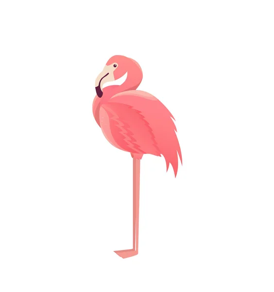 白い背景のフラミンゴ鳥イラスト デザイン — ストックベクタ