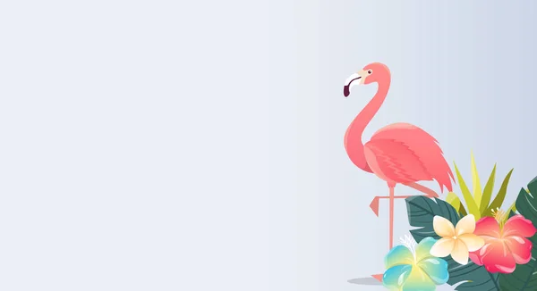 Flamingo Vogel Illustration Design auf weißem Hintergrund — Stockvektor