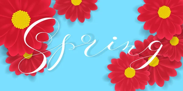 Primavera mano escrito letras y rojo fotorrealista gerberas o flores de margarita elementos. Ilustración vectorial — Vector de stock