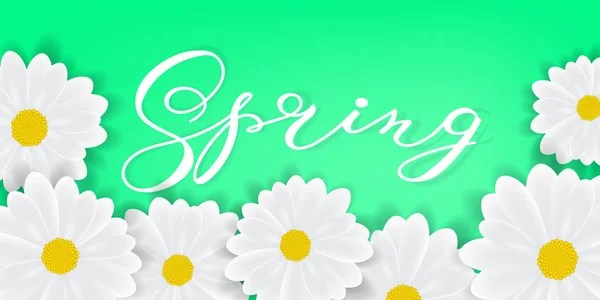 Fondo de primavera con letras de escritura manual Palabra de primavera, margaritas blancas o gerbers — Vector de stock