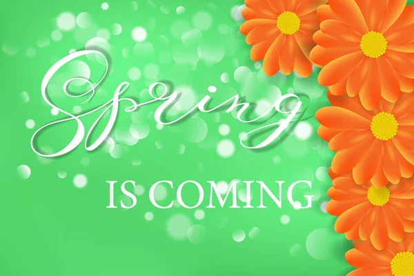 Logotipo de design de letras Primavera. Elemento de tipografia decorativa com flores em fundo verde com bokeh. Rótulo de cores. A primavera está chegando —  Vetores de Stock